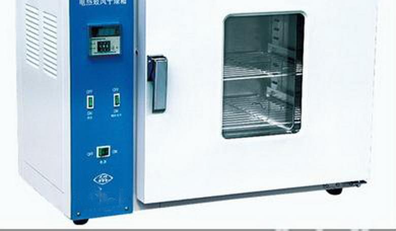 电热鼓风干燥箱温度验证应用案例